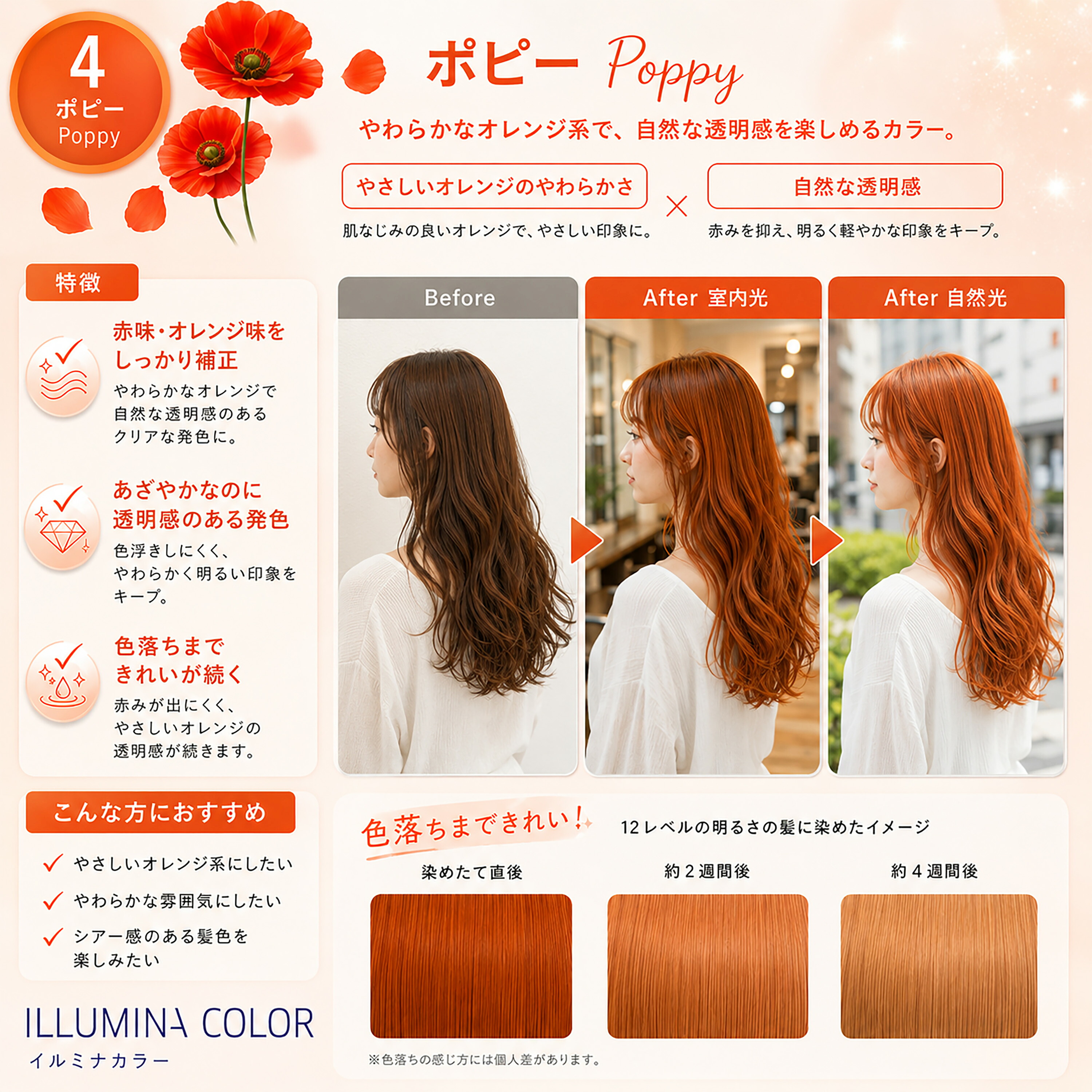 イルミナカラー 80g ＋ オキシ 1リットル セット ウエラ イルミナ