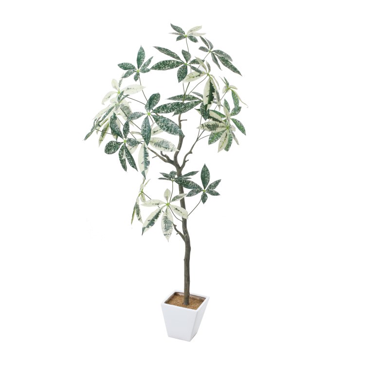 パキラミルキーウェイツリー H150cm W100cm|GLA-1547 アーティフィシャルグリーン 人工観葉植物 鉢付きグリーン 造花 おしゃれ 上質 上品 高級 ゴージャス リビング サロン ホール|ビザインショップ