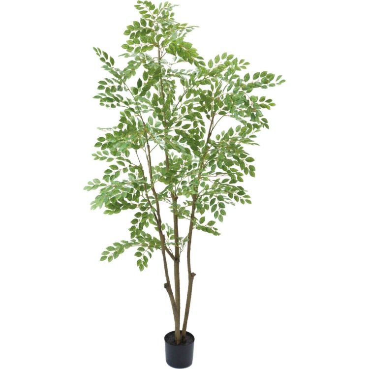 トネリコ 180cm|GLP-1497 アーティフィシャルグリーン 人工観葉植物 グリーン 造花 おしゃれ 上質 上品 高級 ゴージャス リビング サロン ホール|ビザインショップ