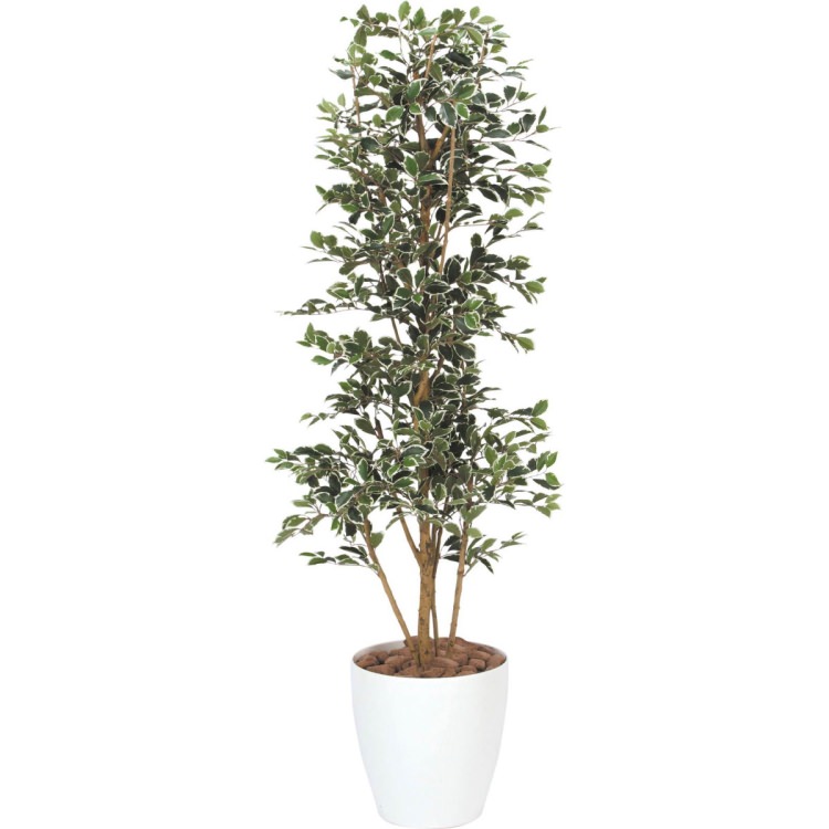 ガジュマルタワー 170cm 横浜ディスプレイミュージアム Glpa 005 アーティフィシャルグリーン 人工観葉植物 鉢付きグリーン 造花 おしゃれ 上質 上品 高級 ゴージャス リビング サロン ホール Elteachermurcia Com