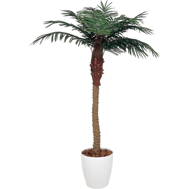 フェニックス 180cm 横浜ディスプレイミュージアム Glpa 022 アーティフィシャルグリーン 人工観葉植物 鉢付きグリーン 造花 おしゃれ 上質 上品 高級 ゴージャス リビング サロン ホール Elteachermurcia Com