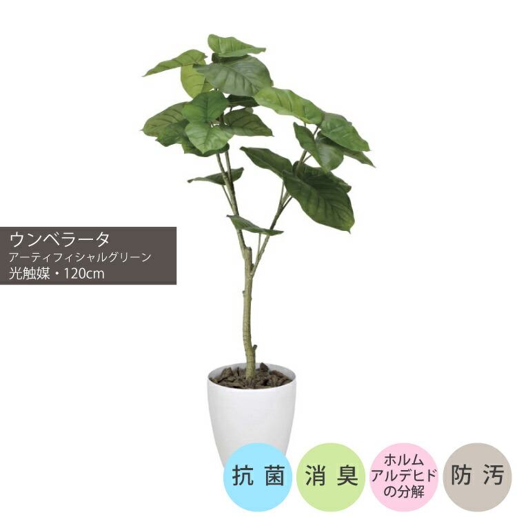 ウンベラータ1.2m｜GLPA-035 アーティフィシャルグリーン 人工観葉植物 鉢付きグリーン 可視光応答型光触媒「V-CAT Tree」造花 おしゃれ 上質 上品 高級 ゴージャス リビング サロン ホール｜ビザインショップ