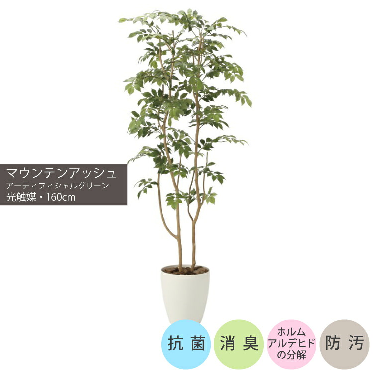 マウンテンアッシュ1.6m｜GLPA-043 アーティフィシャルグリーン 人工観葉植物 鉢付きグリーン 可視光応答型光触媒「V-CAT Tree」 造花 おしゃれ 上質 上品 高級 ゴージャス リビング サロン ホール