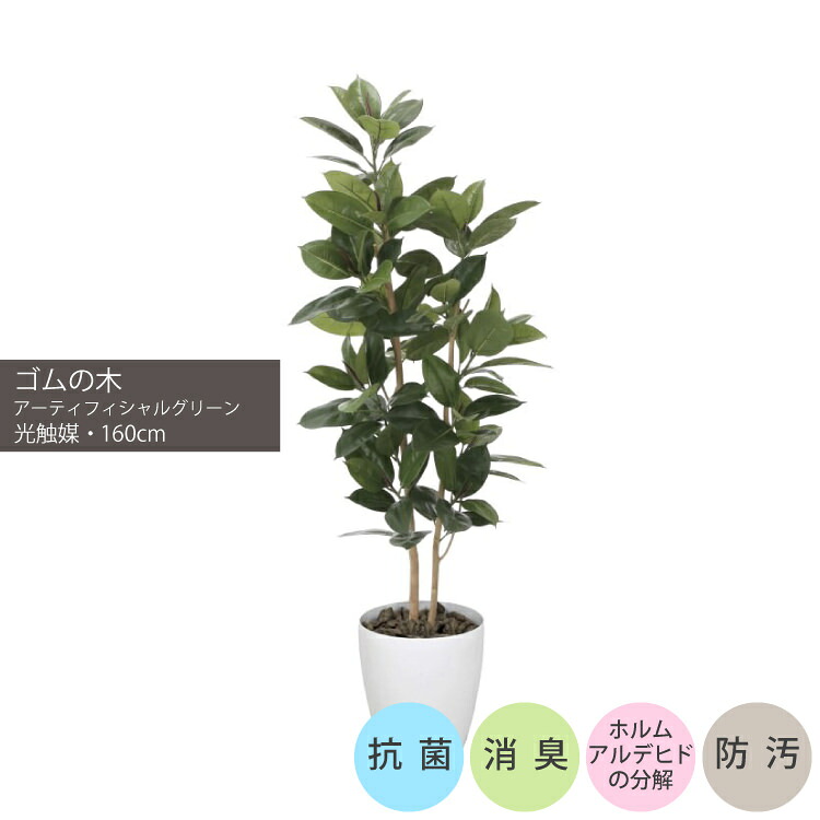 ゴムの木1.6m|GLPA-047 アーティフィシャルグリーン 人工観葉植物 鉢付きグリーン 可視光応答型光触媒「V-CAT Tree」 造花 おしゃれ 上質 上品 高級 ゴージャス リビング サロン ホール|ビザインショップ