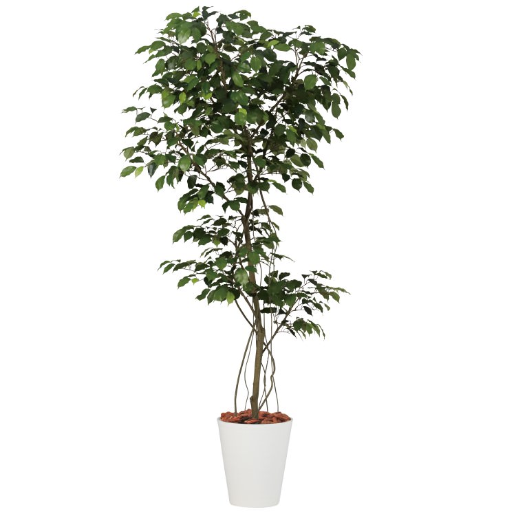 ベンジャミン1.5m|GLPT-207 アーティフィシャルグリーン 人工観葉植物 鉢付きグリーン 造花 おしゃれ 上質 上品 高級 ゴージャス リビング サロン ホール|ビザインショップ