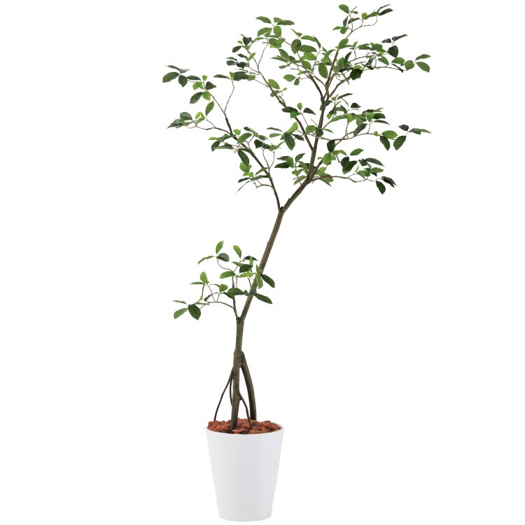 ガジュマル1.5m｜GLPT-214 アーティフィシャルグリーン 人工観葉植物 鉢付きグリーン 造花 おしゃれ 上質 上品 高級 ゴージャス リビング サロン ホール｜ビザインショップ