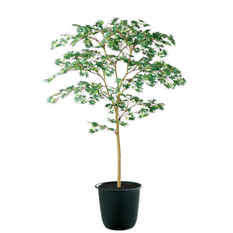 ヤマモミジ GREEN FST W100×H150cm｜TK91760 アーティフィシャルグリーン 人工観葉植物 鉢付きグリーン 造花 おしゃれ 上質 上品 高級 ゴージャス リビング サロン ホール