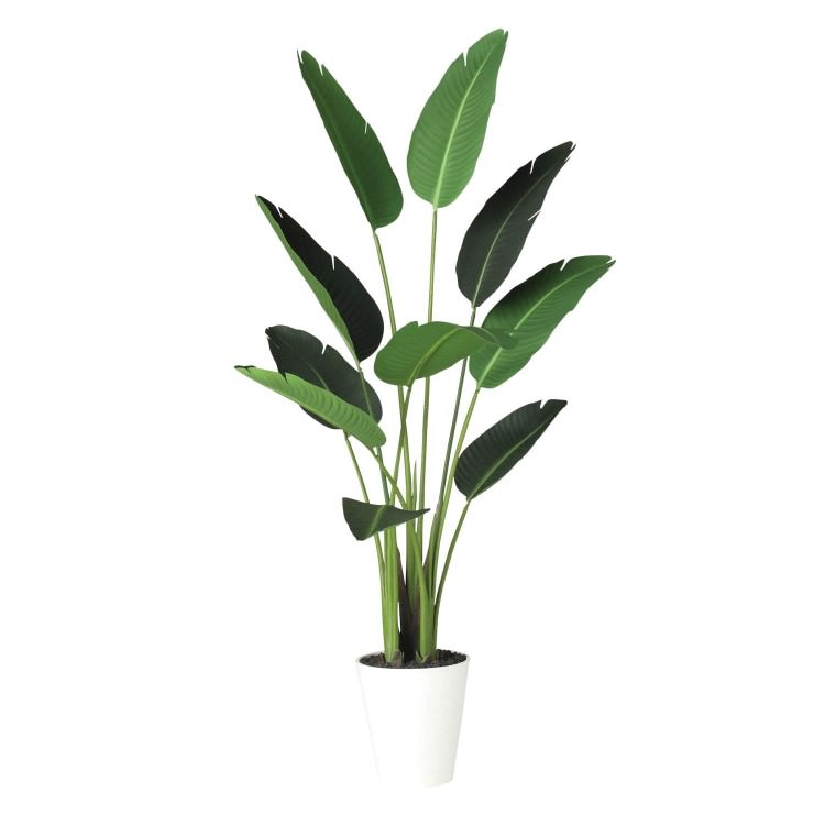 オーガスタ W70×H150cm｜TK91876 アーティフィシャルグリーン 人工観葉植物 鉢付きグリーン 造花 おしゃれ 上質 上品 高級 ゴージャス リビング サロン ホール