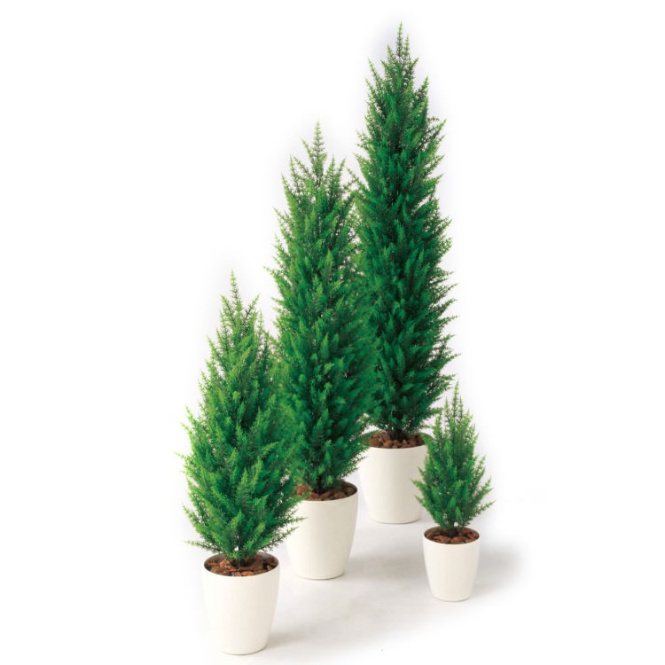 ゴールドクレストgreen W30 H110cm 横浜ディスプレイミュージアム Tk950 アーティフィシャルグリーン 人工観葉植物 鉢付きグリーン 造花 おしゃれ 上質 上品 高級 ゴージャス リビング サロン ホール Novix Com ゴールドクレストgreen W30 H110cm 横浜ディスプレイミュージアム Tk950 アーティフィシャルグリーン 人工観葉植物 鉢付きグリーン 造花 おしゃれ 上質 上品 高級 ゴージャス リビング サロン ホール Novix Com