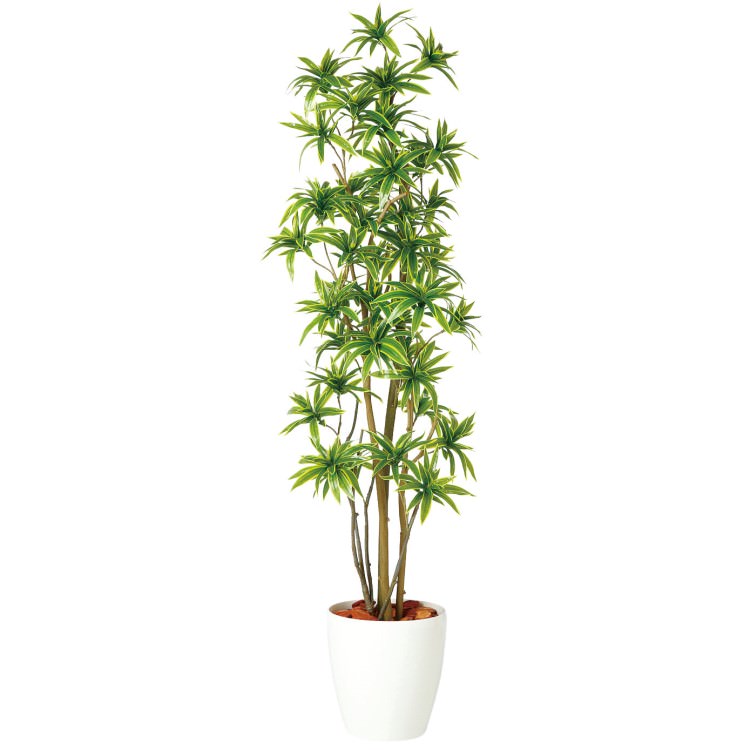 ソング・オブ・インディア FST W60×H180cm|TK98900 アーティフィシャルグリーン 人工観葉植物 鉢付きグリーン 造花 おしゃれ 上質 上品 高級 ゴージャス リビング サロン ホール|ビザインショップ