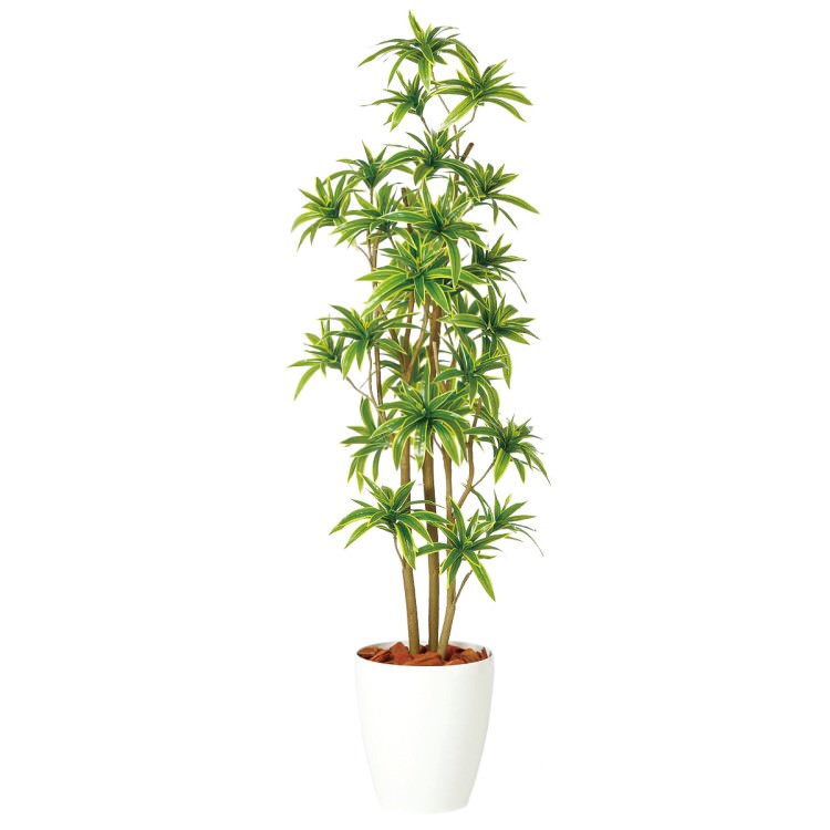 ソング・オブ・インディア FST W50×H150cm｜TK98903 アーティフィシャルグリーン 人工観葉植物 鉢付きグリーン 造花 おしゃれ 上質 上品 高級 ゴージャス リビング サロン ホール