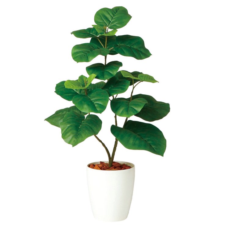 ウンベラータ W50&times;H80cm｜TK98923 アーティフィシャルグリーン 人工観葉植物 鉢付きグリーン 造花 おしゃれ 上質 上品 高級 ゴージャス リビング サロン ホール｜ビザインショップ