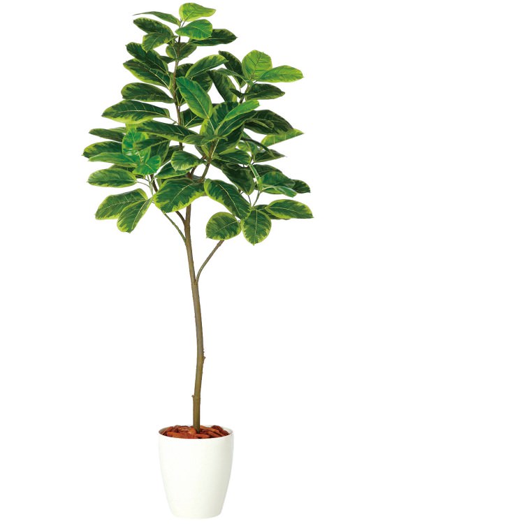 アルテシマ FST W70×H180cm｜TK98929 アーティフィシャルグリーン 人工観葉植物 鉢付きグリーン 造花 おしゃれ 上質 上品 高級 ゴージャス リビング サロン ホール 44,880円