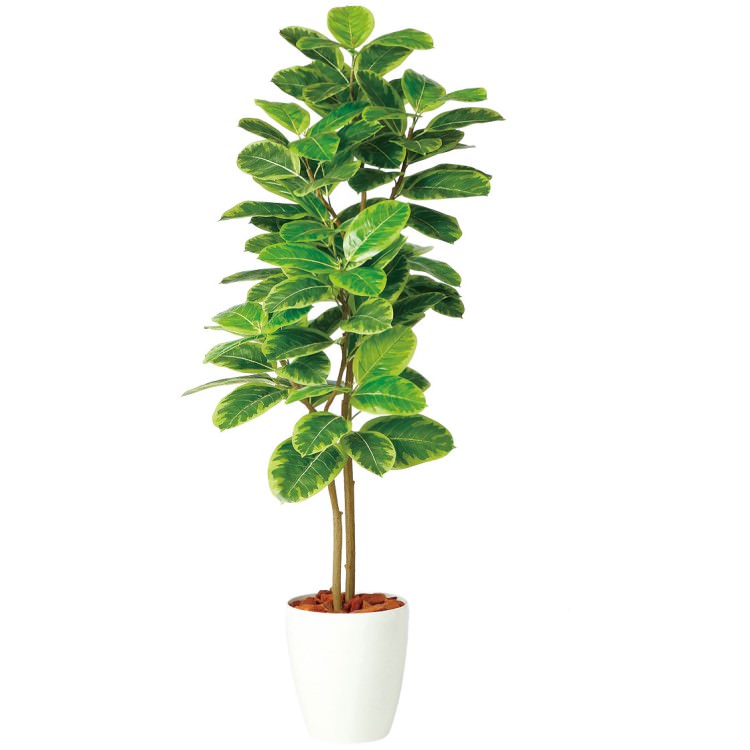 アルテシマ株立 FST W70×H150cm｜TK98942 アーティフィシャルグリーン 人工観葉植物 鉢付きグリーン 造花 おしゃれ 上質 上品 高級 ゴージャス リビング サロン ホール