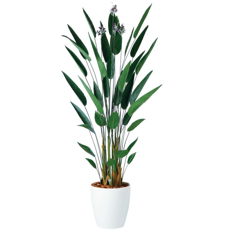 カンナ W80 H0cm 横浜ディスプレイミュージアム Tk953 アーティフィシャルグリーン 人工観葉植物 鉢付きグリーン 造花 おしゃれ 上質 上品 高級 ゴージャス リビング サロン ホール Novix Com