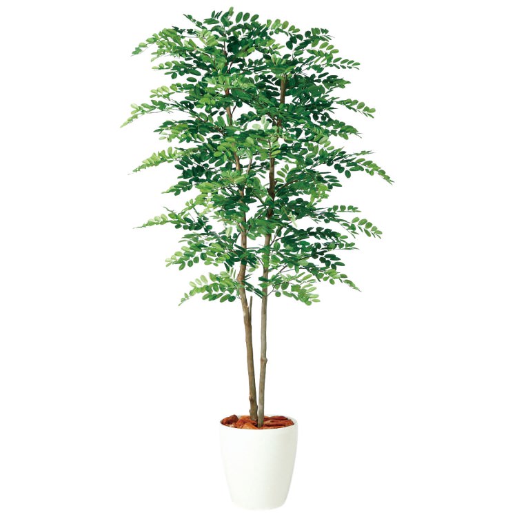 アカシアデュアル W80&times;H180cm｜TK98977 アーティフィシャルグリーン 人工観葉植物 鉢付きグリーン 造花 おしゃれ 上質 上品 高級 ゴージャス リビング サロン ホール｜ビザインショップ