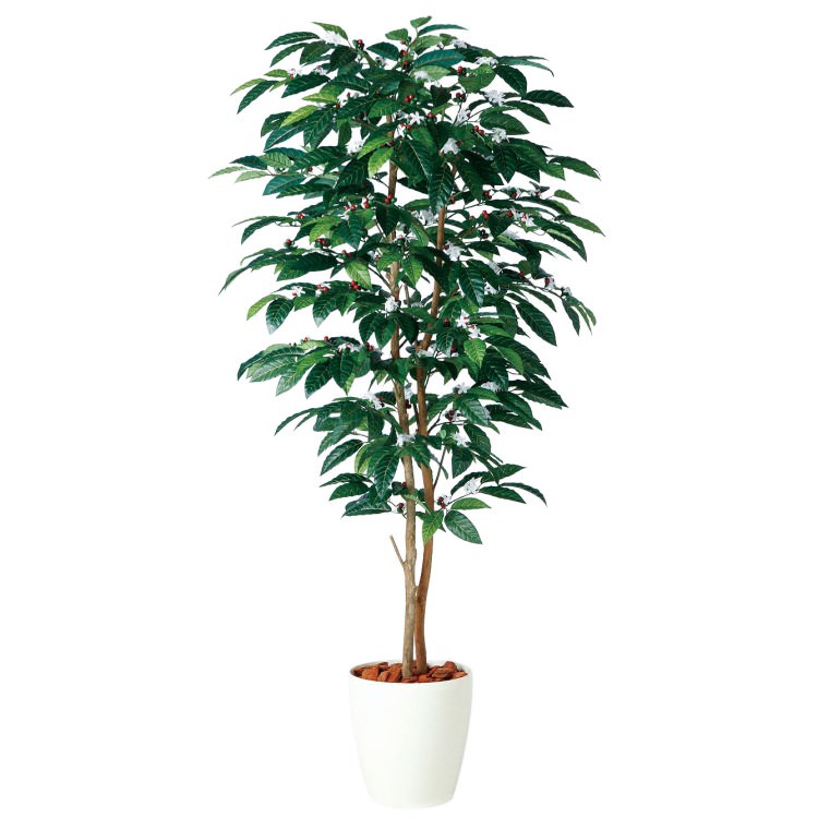 コーヒーデュアル W80×H150cm｜TK98991 アーティフィシャルグリーン 人工観葉植物 鉢付きグリーン 造花 おしゃれ 上質 上品 高級 ゴージャス リビング サロン ホール 35,035円