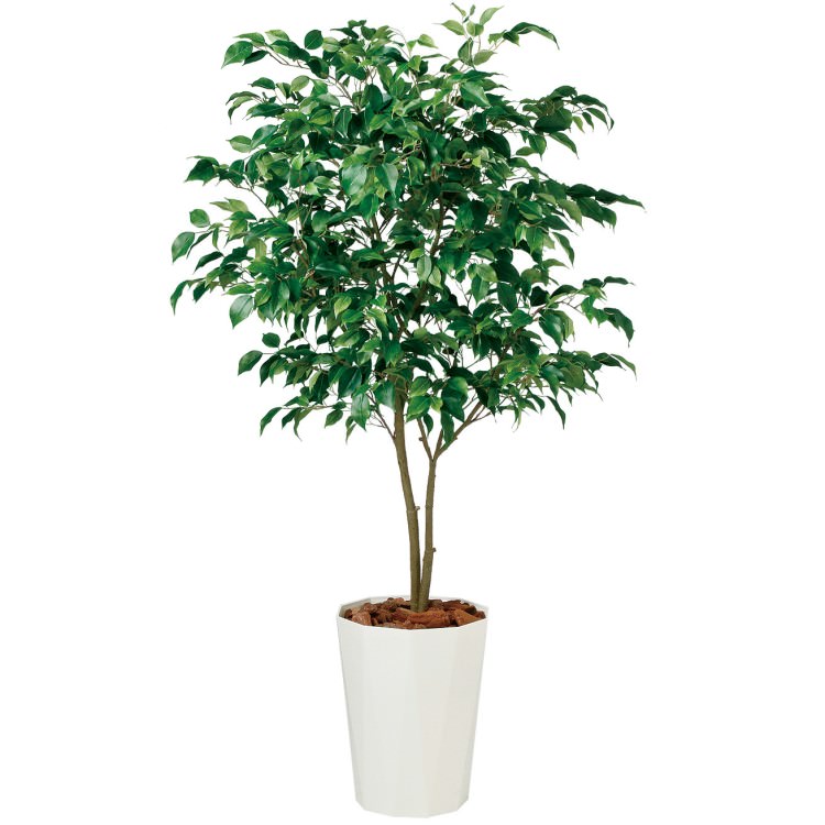 ベンジャミン ワイド FST W90×H150cm｜TK99122 アーティフィシャルグリーン 人工観葉植物 鉢付きグリーン 造花 おしゃれ 上質 上品 高級 ゴージャス リビング サロン ホール 58,410円