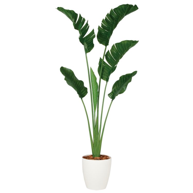 ストレリチア・オーガスタ W90×H200cm｜TK99163 アーティフィシャルグリーン 人工観葉植物 鉢付きグリーン 造花 おしゃれ 上質 上品 高級 ゴージャス リビング サロン ホール