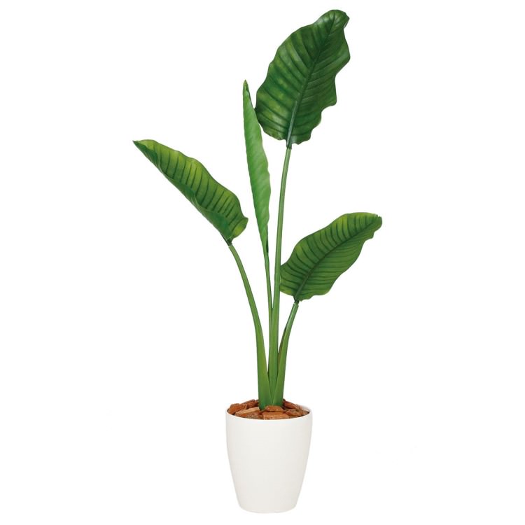ストレリチア・オーガスタ W70&times;H130cm｜TK99169 アーティフィシャルグリーン 人工観葉植物 鉢付きグリーン 造花 おしゃれ 上質 上品 高級 ゴージャス リビング サロン ホール｜ビザインショップ
