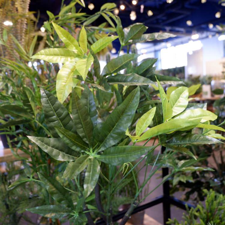 パキラポット 110cm 横浜ディスプレイミュージアム Gla 1197 アーティフィシャルグリーン 人工観葉植物 鉢付きグリーン 造花 おしゃれ 上質 上品 高級 ゴージャス リビング サロン ホール Opendu17 Fr