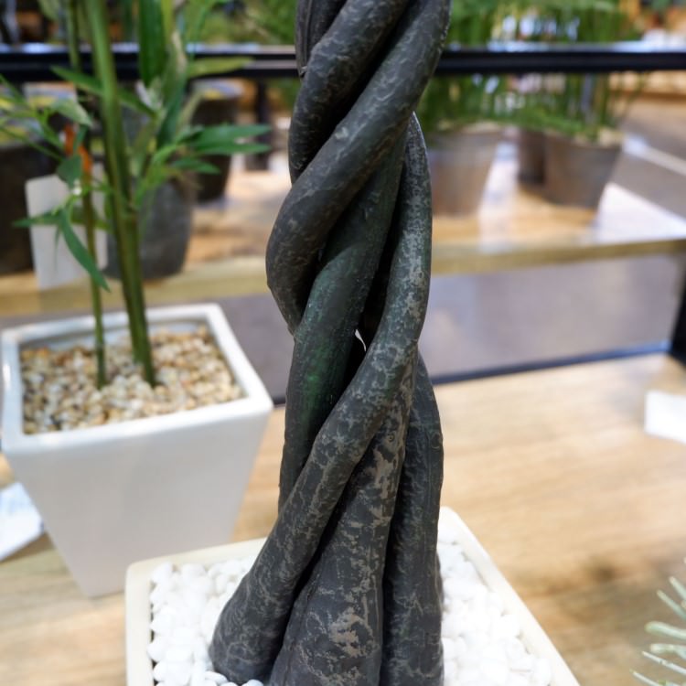 パキラポット 110cm 横浜ディスプレイミュージアム Gla 1197 アーティフィシャルグリーン 人工観葉植物 鉢付きグリーン 造花 おしゃれ 上質 上品 高級 ゴージャス リビング サロン ホール Opendu17 Fr