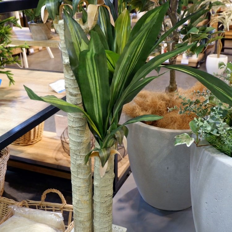 マッサンポット 1cm 横浜ディスプレイミュージアム Gla 10 アーティフィシャルグリーン 人工観葉植物 鉢付きグリーン 造花 おしゃれ 上質 上品 高級 ゴージャス リビング サロン ホール Opendu17 Fr