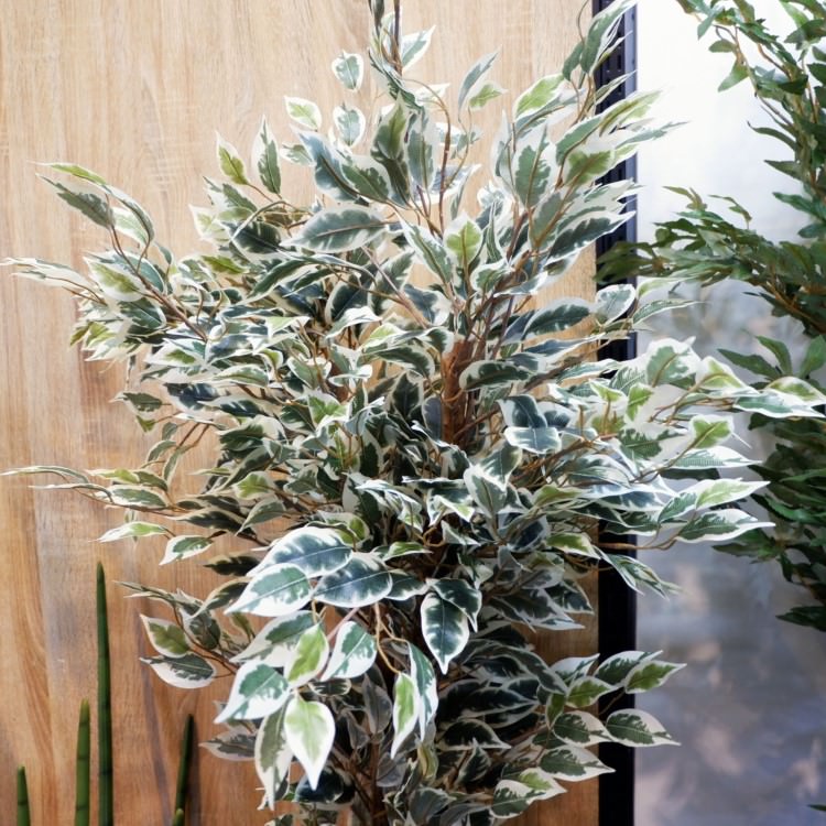 ベンジャミンフィカスハワイアン 150cm 横浜ディスプレイミュージアム Glp 13 アーティフィシャルグリーン 人工観葉植物 グリーン 造花 おしゃれ 上質 上品 高級 ゴージャス リビング サロン ホール Opendu17 Fr