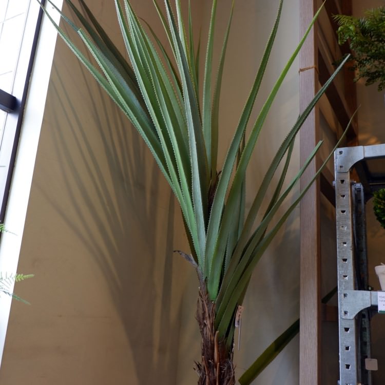 日本正規品 パキラ 0cm 横浜ディスプレイミュージアム Glpa 002 アーティフィシャルグリーン 人工観葉植物 鉢付きグリーン 造花 おしゃれ 上質 上品 高級 ゴージャス リビング サロン ホール 注目ブランド Cheftools Com Sa