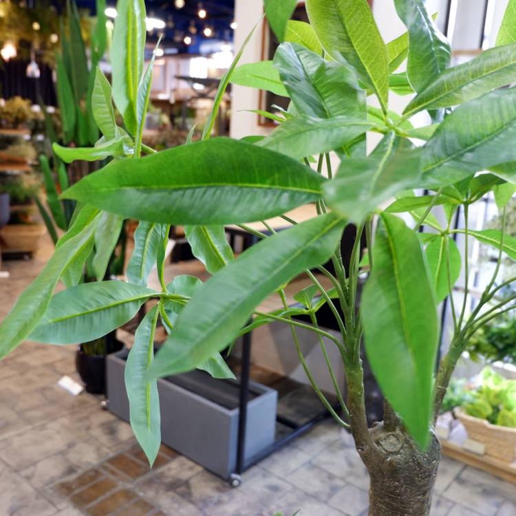パキラ 180cm 横浜出品美術館 Glp 1522 アーティフィシャル翠色 人工観葉植物 グリーン 造花 粋 至上 流麗 超絶 はなやか リビング バー 穿孔 Divineoffspringschool Com