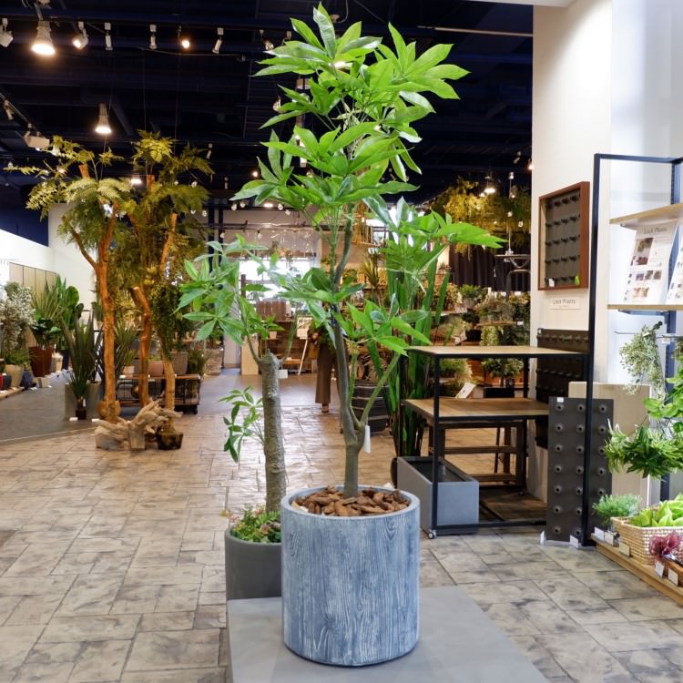 パキラ 180cm 横浜出品美術館 Glp 1522 アーティフィシャル翠色 人工観葉植物 グリーン 造花 粋 至上 流麗 超絶 はなやか リビング バー 穿孔 Divineoffspringschool Com