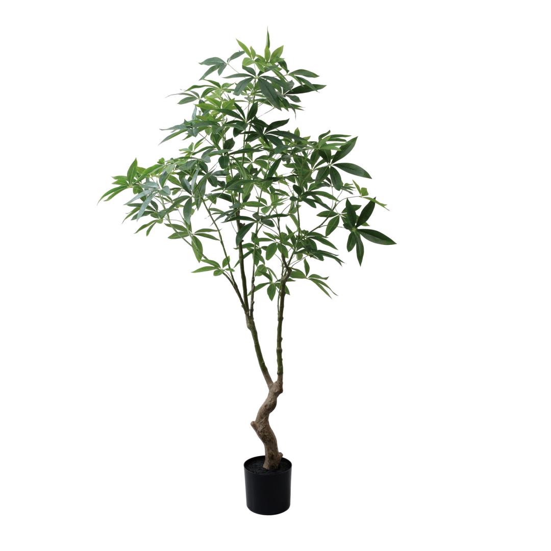 パキラ 180cm｜GLP-1566アーティフィシャルグリーン 人工観葉植物 グリーン 造花 おしゃれ 上質 上品 高級 ゴージャス リビング サロン ホール｜ビザインショップ