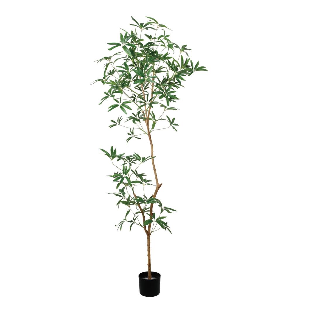 シェフレラアンガスティフォリア 180cm｜GLP-1568アーティフィシャルグリーン 人工観葉植物 グリーン 造花 おしゃれ 上質 上品 高級 ゴージャス リビング サロン ホール 28,600円