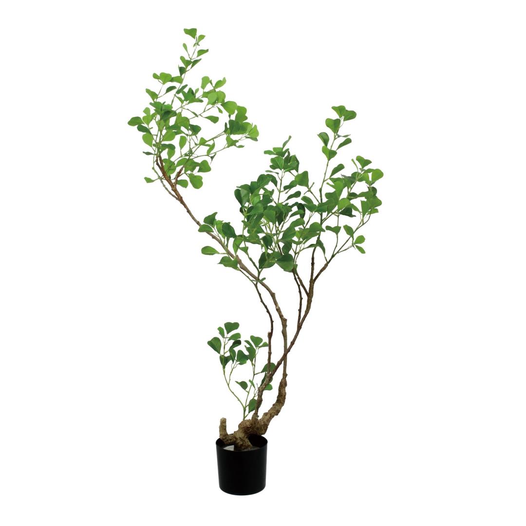 フィカストライアンギュラス 125cm｜GLP-1578アーティフィシャルグリーン 人工観葉植物 グリーン 造花 おしゃれ 上質 上品 高級 ゴージャス リビング サロン ホール｜ビザインショップ 16,280円