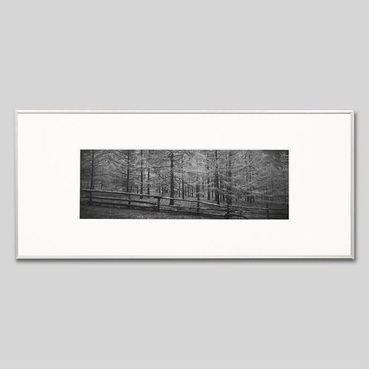 Igrebow アイグレボウ モンゴル テレルジ 紅葉の樹林 室内装飾写真 ピクチャーアート 映し絵 おしゃれ 今めかしい 白黒 モノクロ Cpecinfo Com