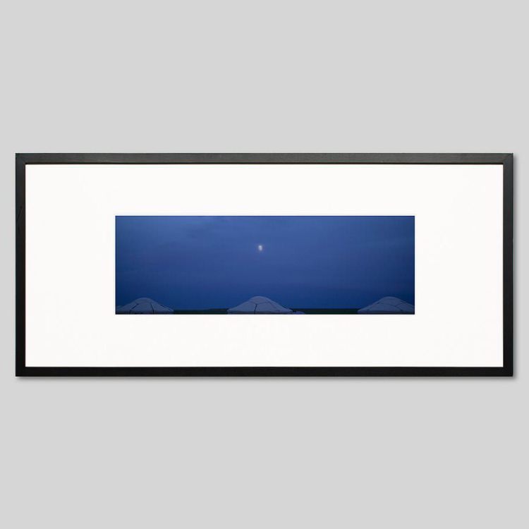 予約中 写真 ピクチャーアート インテリアフォト アイグレボウ 金魚 Igrebow スタイリッシュ カラーピクチャー カラー写真 モダン アートパネル アートボード Williamsav Com