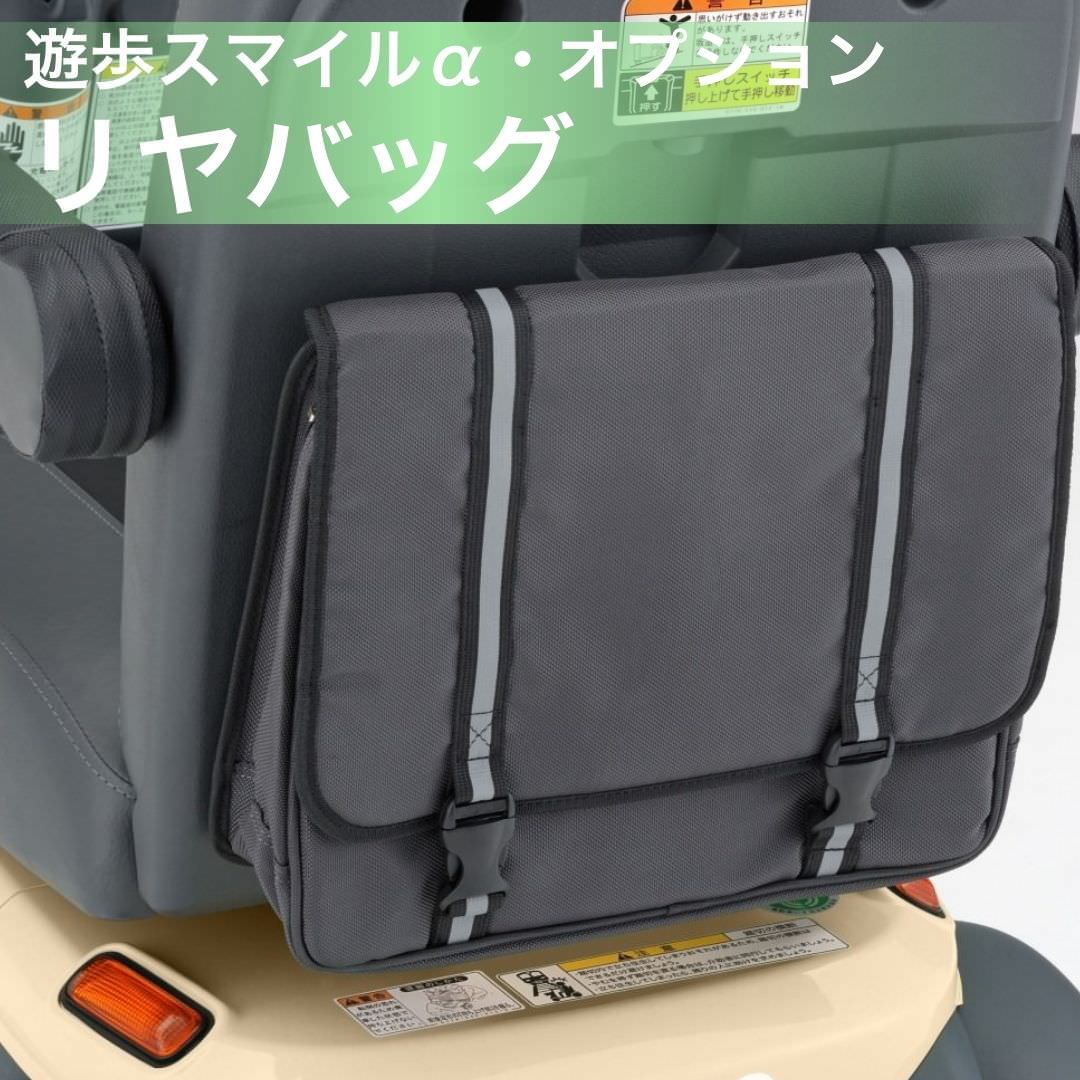 パピスケ様 楽天市場】[電動カートオプション] Serio 遊歩フジ用 大型