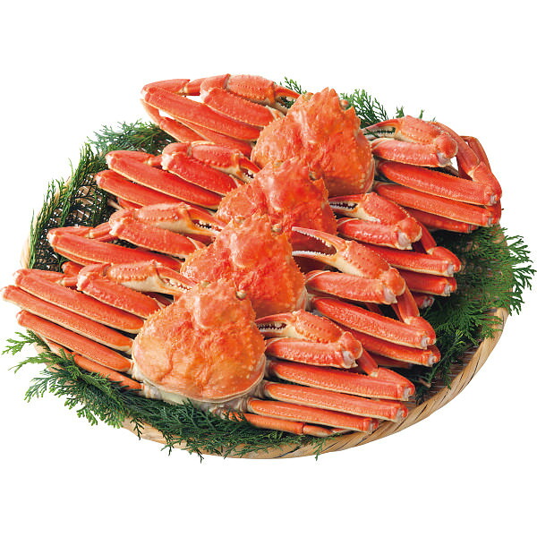 ボイルずわいがに姿4尾 計1.9kg|蟹 カニ セット 詰め合わせ 魚介 食品 ご自宅用 プレゼント 贈り物 ギフト 贈答用 高級贈答品 カタログギフト 送料無料