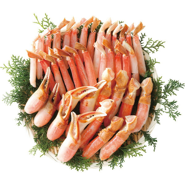 生ずわいがにポーションセット 計1kg｜蟹 カニ セット 詰め合わせ 魚介 食品 ご自宅用 プレゼント 贈り物 ギフト 贈答用 高級贈答品 カタログギフト 送料無料