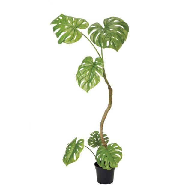 ツイストモンステラポット 152cm|グリーン アーティフィシャルグリーン 人工観葉植物 人工樹木 簡易鉢付きグリーン グリーン 造花 おしゃれ 上質 上品 高級 ゴージャス リビング サロン ホール|ビザインショップ