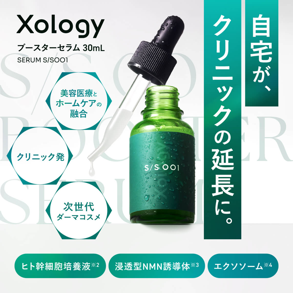 【正規取扱店】Xology エクソロジー ブースターセラム 30mL 【送料無料】 美容液 導入美容液 先行美容液 ブースター セラム エクソソーム ヒト幹細胞培養液 NMN 誘導体 ダーマコスメ 敏感肌 乾燥 エイジングケア 毛穴 保湿 ハリ ツヤ 孫駿一郎 X CLINIC ビスポワール 日本製|ビスポワール