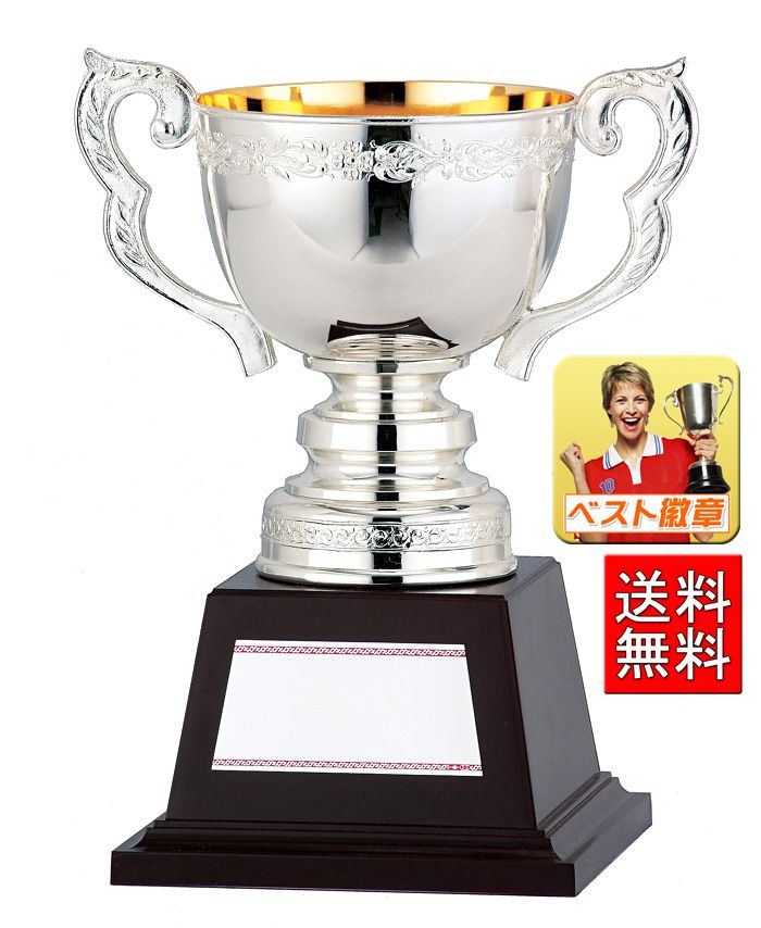 優勝カップ 送料無料 文字無料 高さ255ｍｍお得 大きい Ga211 L 優勝カップ トロフィーの専門会社です 簡単 迅速 お得で全国へお届けいたします 最大76 Offクーポン