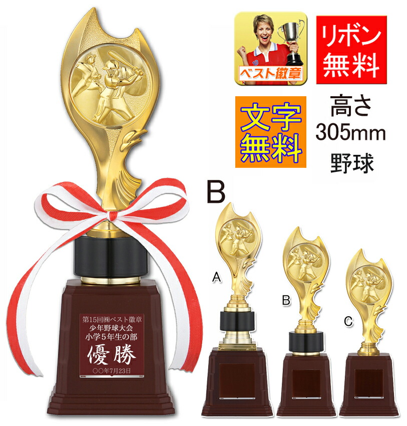 楽天市場】トロフィー 野球 文字無料 高さ260ｍｍ ベースボール 最優秀選手賞 MIP ゴールデングラブ コーチ 監督 ピッチャー バッター 野球  優秀選手賞 MVP ゴールデングラブ 首位打者 打率 盗塁王 打点王 トロフィー 野手 スポーツ少年団 卒団 卒業 W-VC4803-C ...