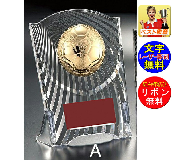 楽天市場】盾 文字無料 サッカー 高さ125ｍｍ 表彰楯 樹脂 楯 盾 表彰 トロフィー 記念品 卒業記念品 入学 功労 殊勲 技能 サッカー  フットサル フットボール リフティング 最優秀選手 優秀選手賞 ゴール アシスト ヘディング ハットトリック W-CBL5569-17-D :  トロフィー ...