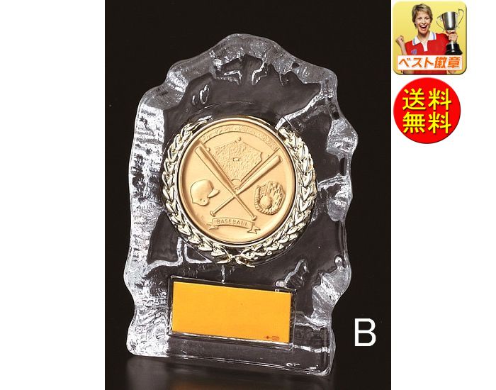 ガラス　トロフィー　文字無料　高さ130ｍｍ　送料無料　種目　盾 ガラス　トロフィー　ガラス　楯　トロフィー　鳩　チアリーダー　ダンス　ラクロス　美容　ローラーブレード　料理　ボクシング　レスリング　セールス　学習　音楽　カメラ　美術　犬　猫　馬　V125-B