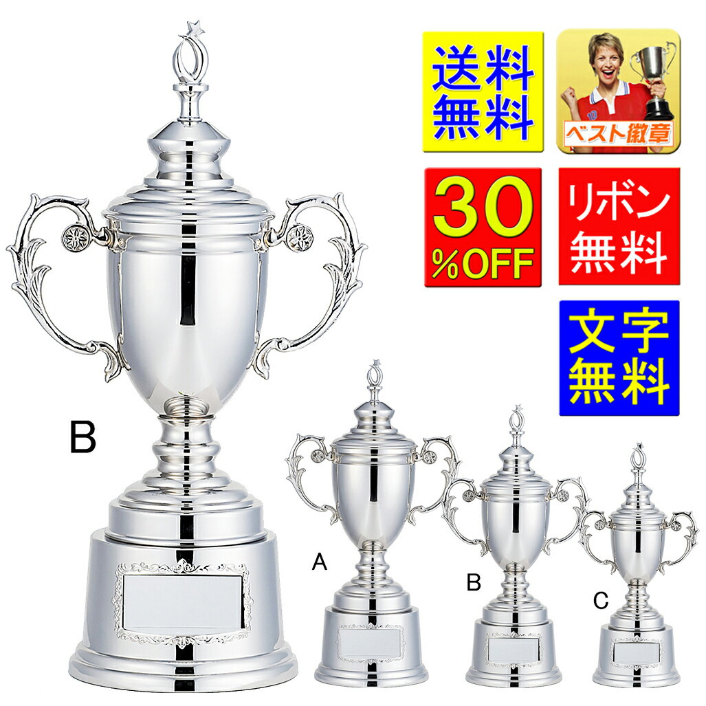 楽天市場】優勝カップ 高さ195mm 送料無料 文字無料 銀（シルバー