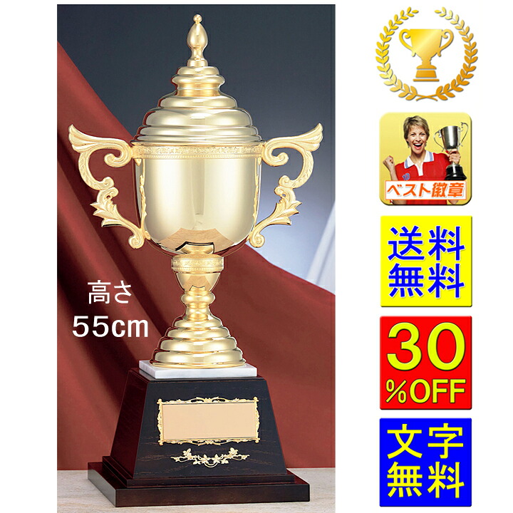 優勝カップ 送料無料 高さ550mm 30%OFF レーザー文字無料 ゴールド 金色 優勝カップ トロフィーカップ ゴルフ トロフィー 優勝トロフィー 野球 相撲 空手 水泳 サッカー 柔道 グラウンドゴルフ 音楽 テコンドー 卓球 記念品 テニス K-RG8801 金色|トロフィー優勝カップのベスト徽章
