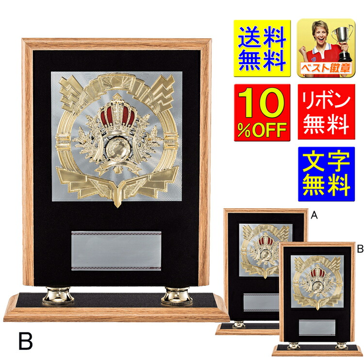 盾　楯  文字無料　高さ280ｍｍ　盾　送料無料　表彰盾　楯　星　スター　トロフィー　記念　卒業記念品　功労　殊勲　技能　退職　永年　ゴルフ　野球　サッカー　バスケットボール　バレーボール　バドミントン　囲碁　将棋　相撲　柔道　剣道　空手　合気道　D024-B