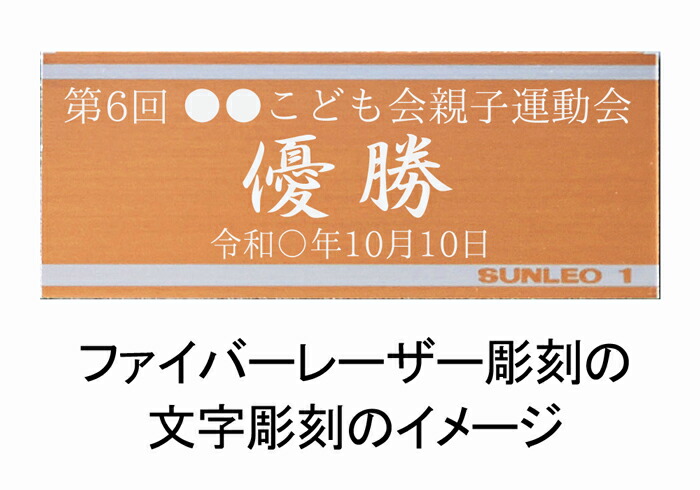 トロフィー ドラえもん 高さ170mmトロフィー 優勝カップ 盾 メダル 音楽 バスケットボール サッカー ゴルフ バドミントン バレーボール お遊戯 発表会 演奏会 ブロンズトロフィー ドラえもん 子供会 賞 卒業記念品 卒園 Y-DR 3006-A