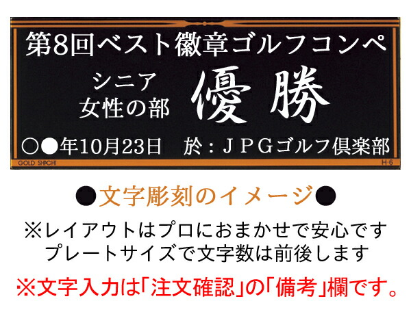 盾 文字無料 記念品 相撲 トロフィー 技能 表彰盾 最優秀選手賞 最優秀賞 優秀賞 楯 功労 高さ180ｍｍ Off 柔道 卒業記念品 剣道 殊勲